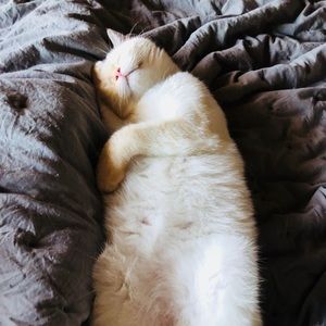 Meet your Posher, Sheri